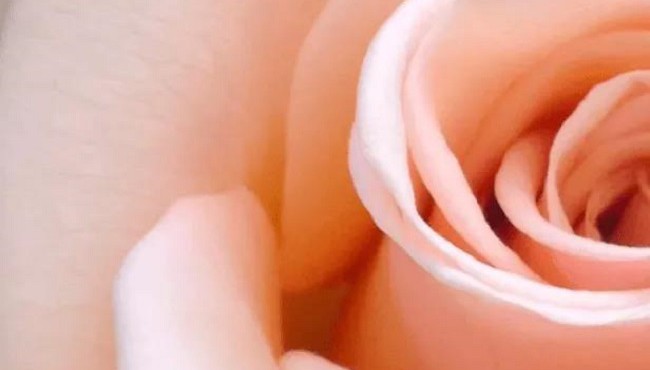 �绨�����š���������ͨ�׶�Ư����Ů��