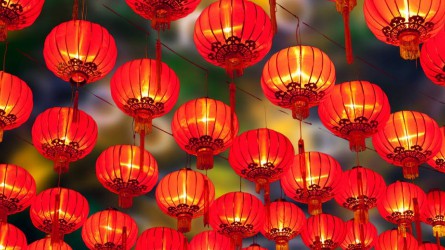 ����yl6776�������ż��ż�ί��չ2022�괺�ڼ���ǰ���찵��