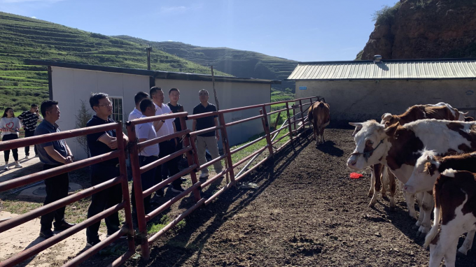 ����yl6776�������ż��ŵ�ί��ǡ����³�������һ�и�׿�����������������ο��