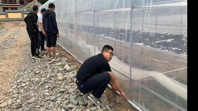 ��פ�������� ���ʵЧ����yl6776�������ż�����ʵ�ƶ��������������ʵ