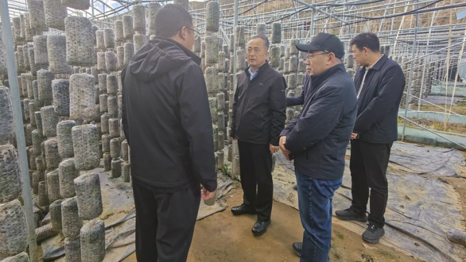 ����yl6776�������ż��Ÿ�׿���ؿ�չ�������˰�������߽�Թذ�����