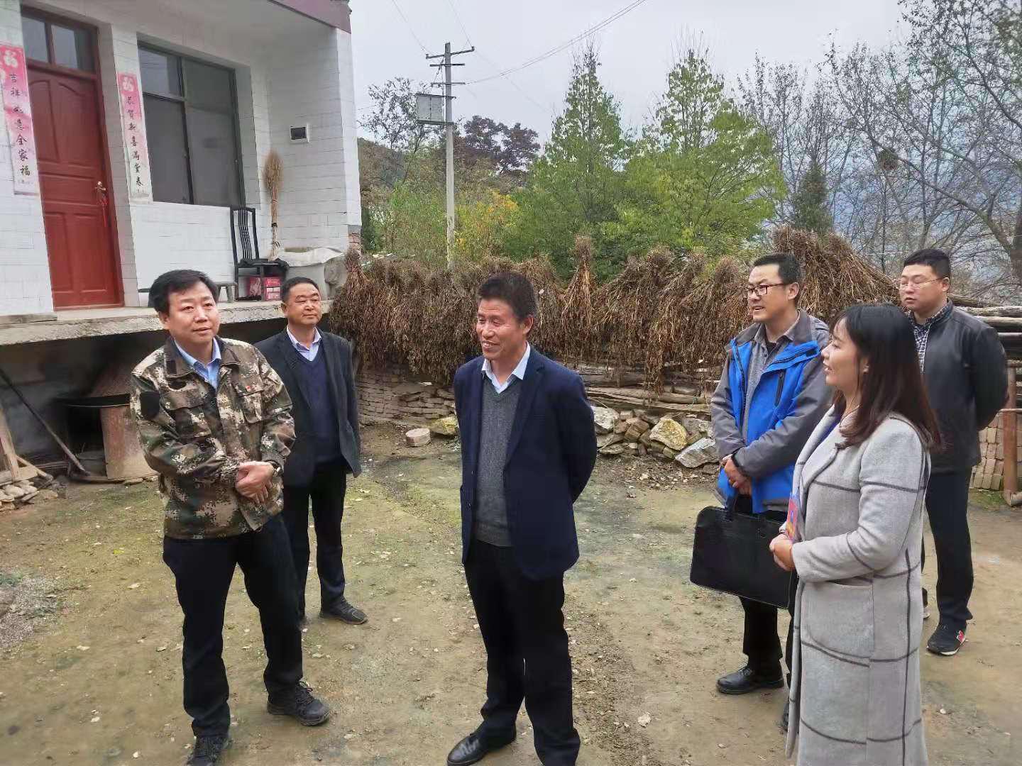 1573464915978056649.jpg 图片6.jpg