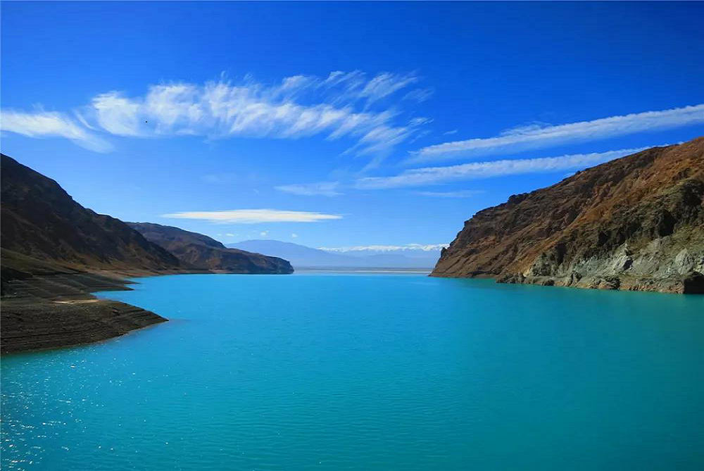 1634119228404077347.png ²ýÂí2.png